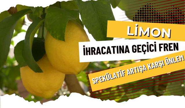 Limon İhracatına Geçici Fren