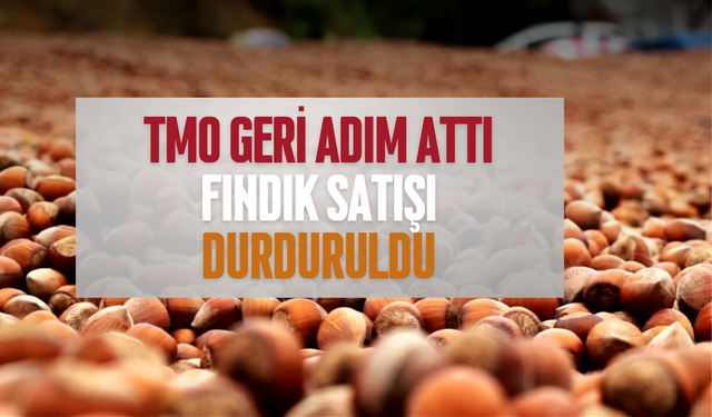 Fındık Üreticisinin Zaferi! TMO Geri Adım Attı, Fındık Satışı Durduruldu