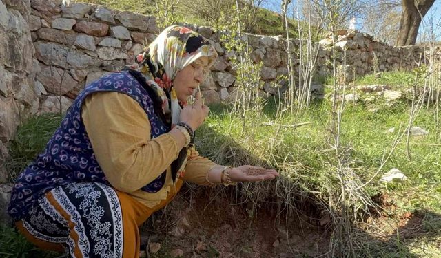 Tokat’ta türbenin toprağını yiyerek dua ediyorlar