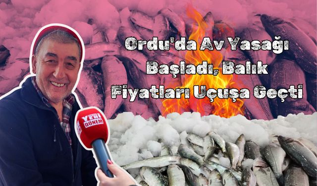Ordu'da Av Yasağı Başladı, Balık Fiyatları Uçuşa Geçti