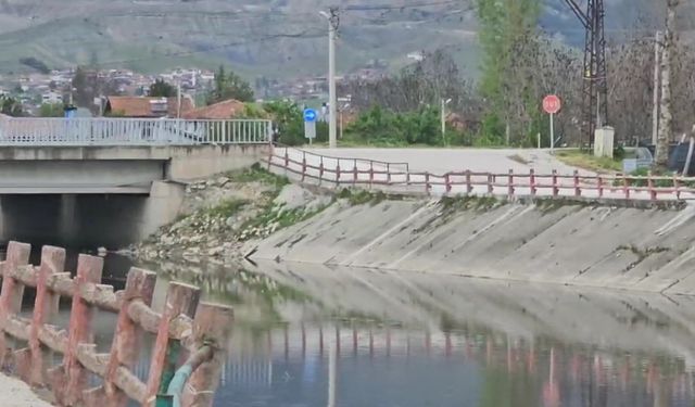 Yeşilırmak Nehri’nde balık ölümleri incelemeye alındı