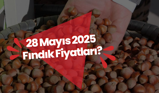 28 Mayıs 2025 Fındık Fiyatları?