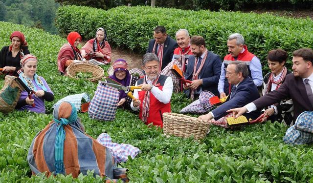 Bakan İbrahim Yumaklı: "Meteorolojik olayların çaya bizim korktuğumuz kadar bir etkisi olmadı"