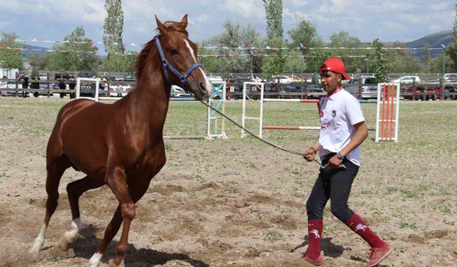 Çorum’da atlar güzellikleriyle yarıştı