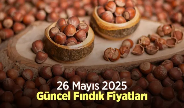 26 Mayıs 2025 Güncel Fındık Fiyatları
