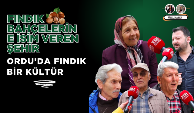 Fındık Bahçelerine İsim Veren Şehir: Ordu’da Fındık Bir Kültür