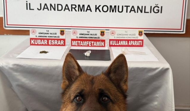 Gümüşhane’de uyuşturucu operasyonu