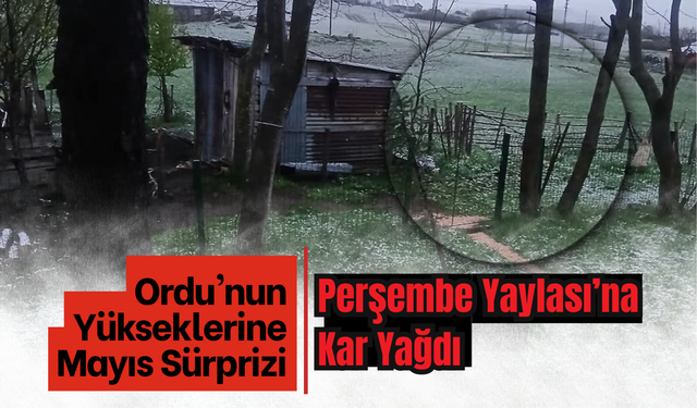 Ordu'nun Yükseklerine Mayıs Sürprizi: Perşembe Yaylası’na Kar Yağdı