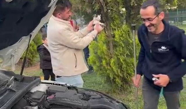 Otomobilin motoruna sıkışan yavru kedi kurtarıldı