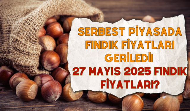 Serbest Piyasada Fındık Fiyatları Geriledi! 27 Mayıs 2025 Fındık Fiyatları?