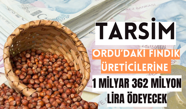 TARSİM, Ordu’daki Fındık Üreticilerine 1 Milyar 362 Milyon Lira Ödeyecek