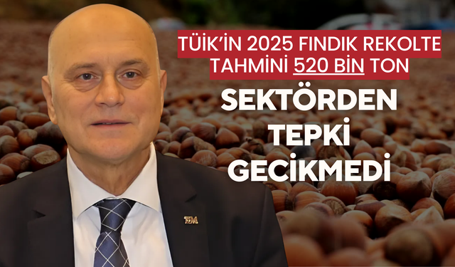 TÜİK’in 2025 Fındık Rekolte Tahmini 520 Bin Ton: Sektörden Tepki Gecikmedi