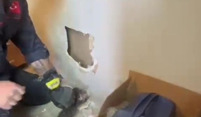 Yavruları duvar arasında mahsur kalan kedilerin imdadına itfaiye ekipleri yetişti