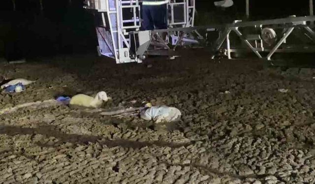 Atık dökülen alanda mahsur kalan koyunu itfaiyeciler kurtardı