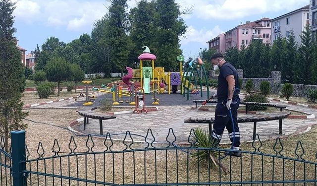 Bartın’da kene ile mücadele