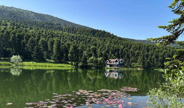 Bolu’da yangın riskine karşı ormanlık alanlara giriş yasaklandı