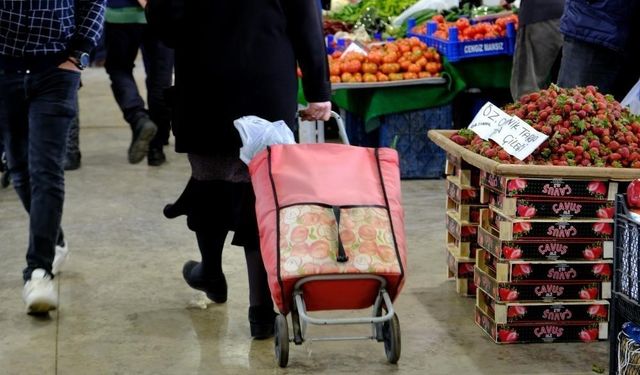 Ekonomik güven endeksi 96,71 oldu