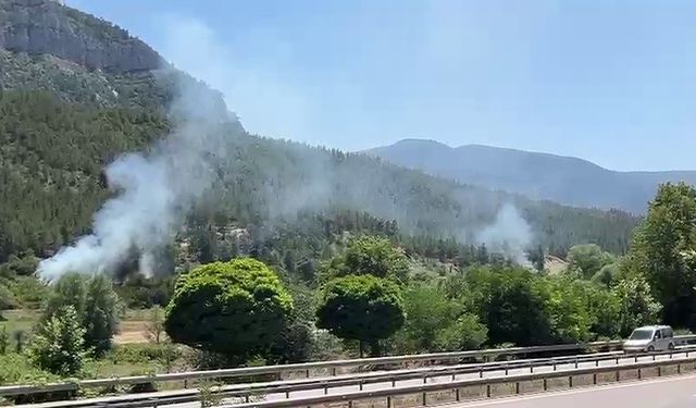 Karabük’te örtü yangınları büyümeden söndürüldü