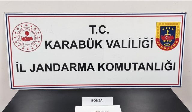 Karabük’te uyuşturucu operasyonu: 1 gözaltı