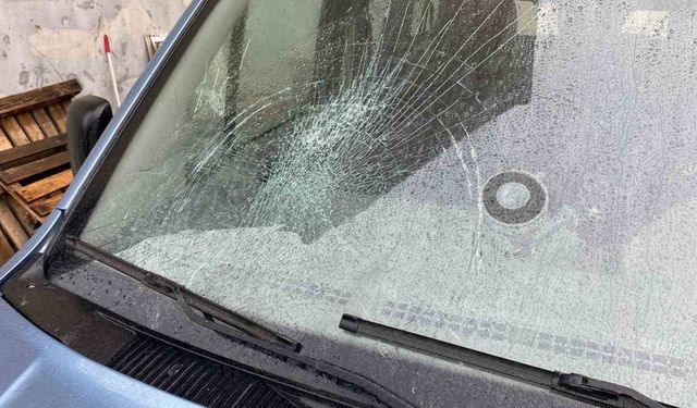 Karayolundaki karacayı telefonu ile kayda alırken bunun olacağını hiç aklına getirmedi
