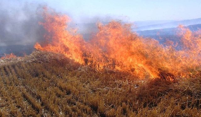 Meteorolojiden orman yangını uyarısı