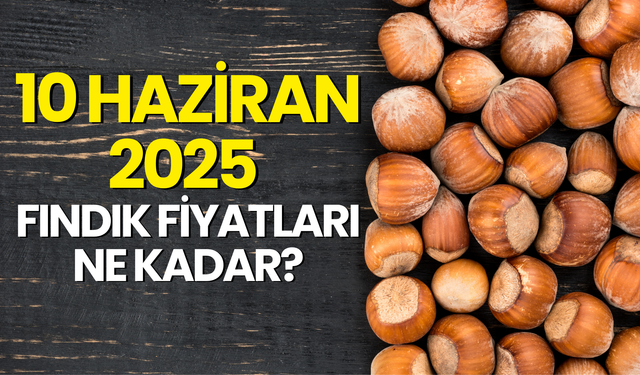Ordu’da 10 Haziran 2025 Fındık Fiyatları Ne Kadar?