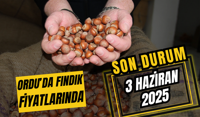 Ordu’da Fındık Fiyatlarında Son Durum: 3 Haziran 2025