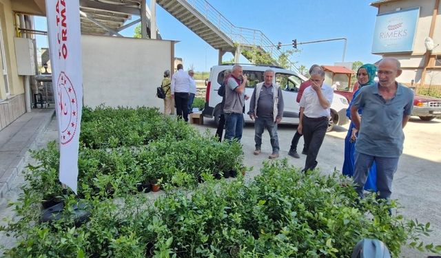 Rize’de 9 bin 500 maviyemiş fidanı üreticilere dağıtıldı