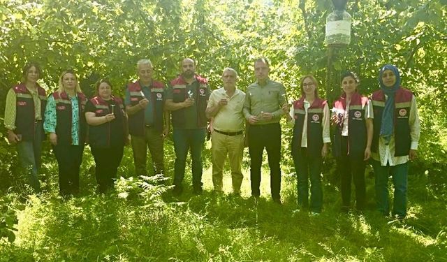 Rize’de kahverengi kokarcaya karşı 50 bin adet samuray doğaya salındı
