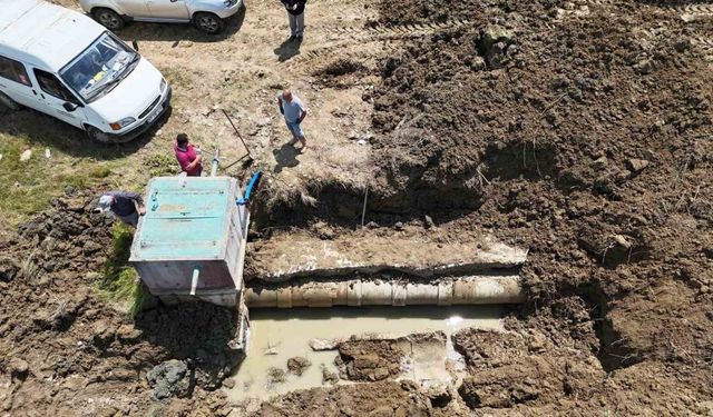 Sinop Karasu Ovası’nda sulama hattı alarm veriyor: "Çeltikler kuruyacak" uyarısı