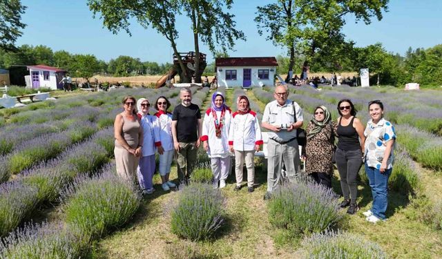 Sinop’ta lavanta kokulu gastronomi buluşması: Yöresel lezzetlere mor dokunuş