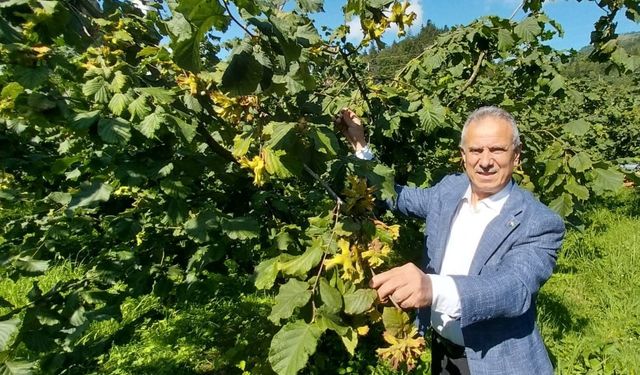 Trabzon Ticaret Borsası Başkanı Ergan: