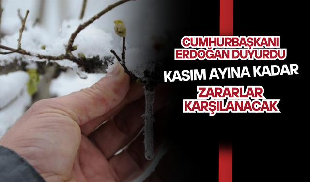 Cumhurbaşkanı Erdoğan Duyurdu: Kasım Ayına Kadar Zararlar Karşılanacak