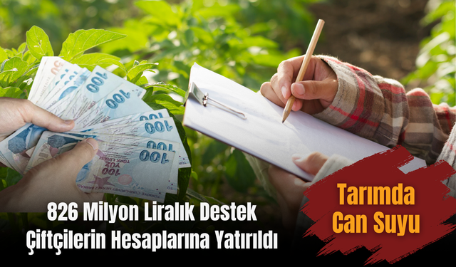 Tarımda Can Suyu: 826 Milyon Liralık Destek Çiftçilerin Hesaplarına Yatırıldı
