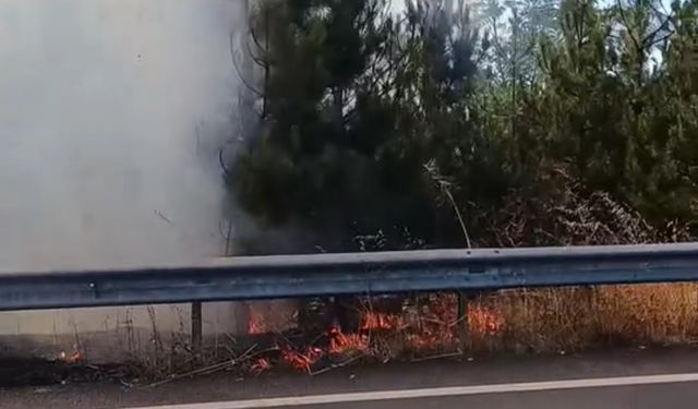 Düğün konvoyundaki meşale çamlık alanı yaktı