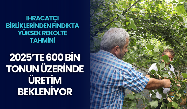 İhracatçı Birliklerinden Fındıkta Yüksek Rekolte Tahmini: 2025’te 600 Bin Tonun Üzerinde Üretim Bekleniyor