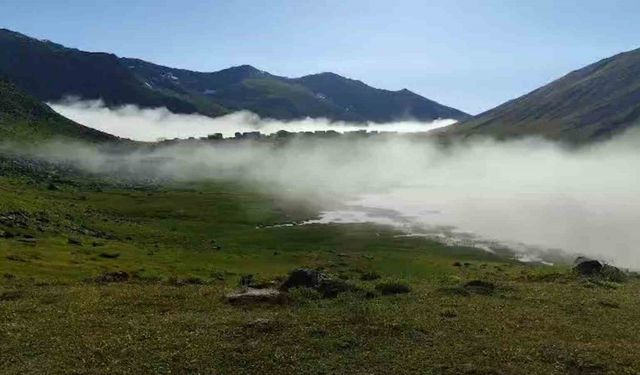 Göldeki yüzen adalar hava durumunu önceden söylüyor