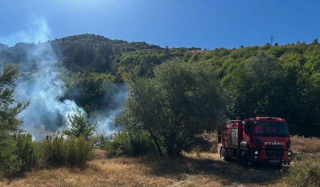 Kastamonu’da ormanlık alanda çıkan yangın büyümeden söndürüldü