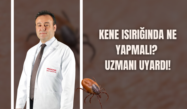 Kene Isırığında Ne Yapmalı? Uzmanı Uyardı!