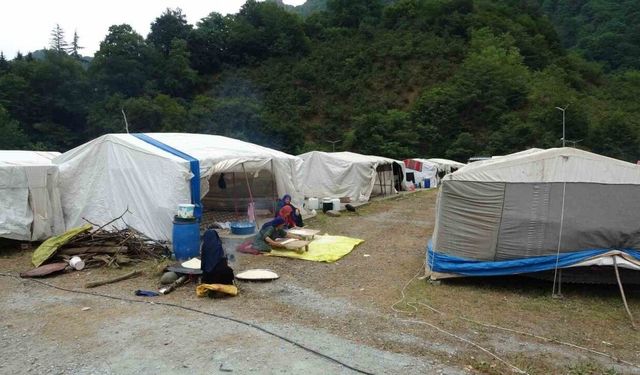 Mevsimlik tarım işçileri fındık hasadı için Ordu’da