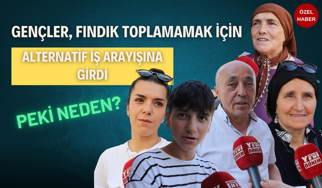 Gençler, Fındık Toplamamak İçin Alternatif İş Arayışına Girdi
