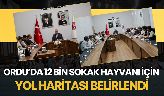 Ordu’da 12 Bin Sokak Hayvanı İçin Yol Haritası Belirlendi