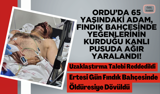 Ordu’da 65 Yaşındaki Adam, Fındık Bahçesinde Yeğenlerinin Kurduğu Kanlı Pusuda Ağır Yaralandı!