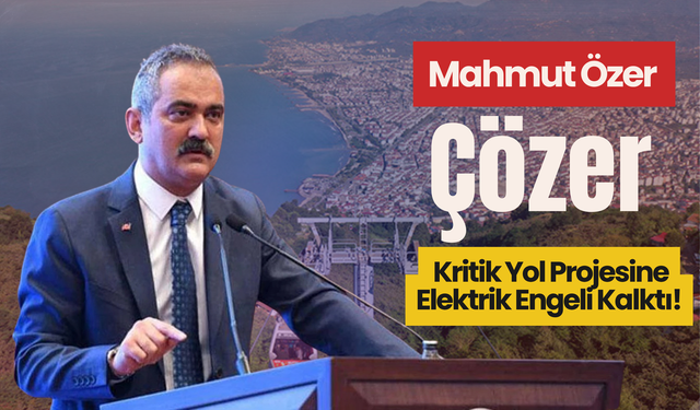 Mahmut Özer Çözer: Ünye-Akkuş-Niksar Yolunda Elektrik Hattı Engeli Kalktı!