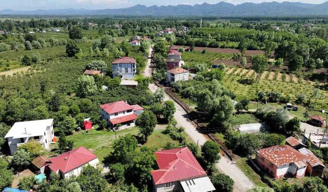 Terme’de doğalgaz ağı genişliyor