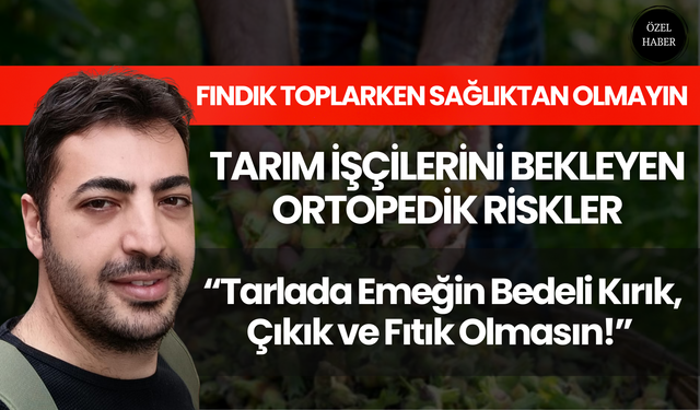Fındık Toplarken Sağlıktan Olmayın: Tarım İşçilerini Bekleyen Ortopedik Riskler