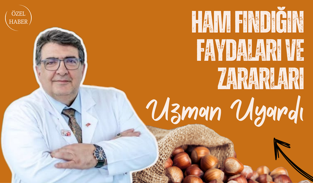 Ham Fındığın Faydaları ve Zararları: Uzman Uyardı