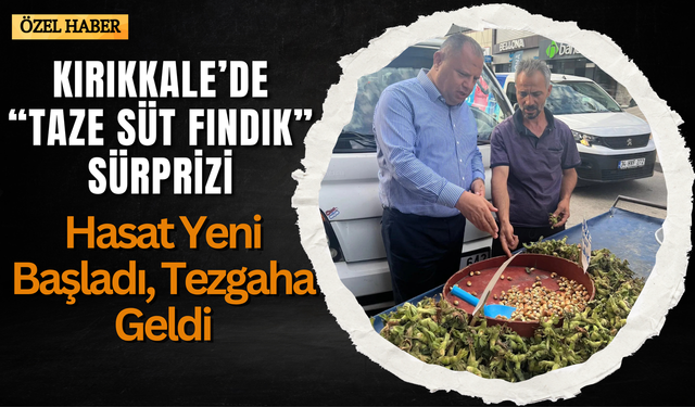 Kırıkkale’de “Taze Süt Fındık” Sürprizi