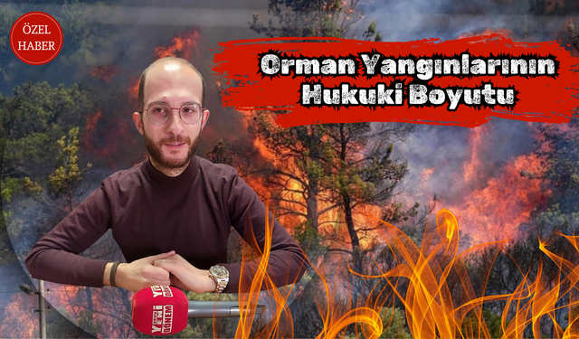 Orman Yangınlarının Hukuki Boyutu