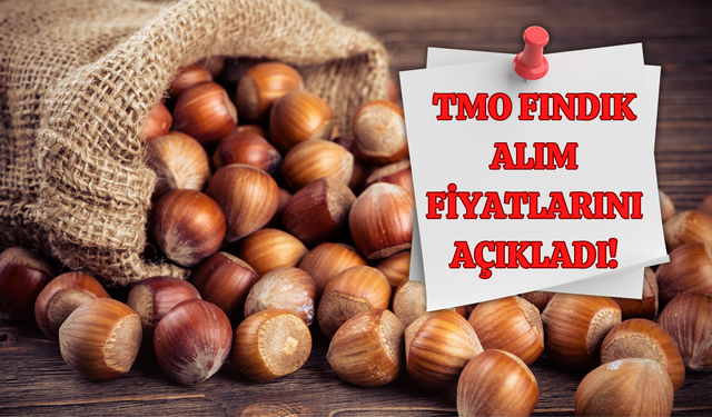 TMO Fındık Alım Fiyatlarını Açıkladı!